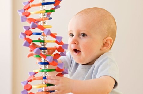 Limitations of gene editing assessments in human preimplantation embryos | Nature Communications | Genetic Engineering Publications - GEG Tech top picks | Scoop.it