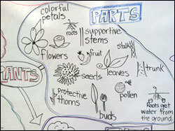 Visual Notetaking in the Classroom | Assessment strategies for teaching and learning | Scoop.it