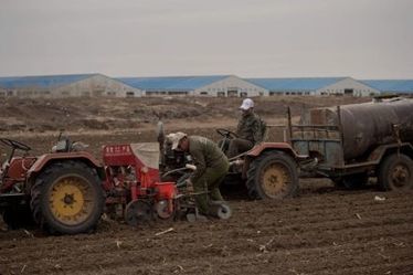 China to boost farmland by 2020 in food security push | ASIES | Scoop.it