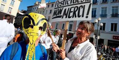 L&rsquo;Europe interdit trois n&eacute;onicotino&iuml;des jug&eacute;s dangereux pour les abeilles | EntomoNews | Scoop.it
