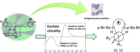 Diarylheptanoid Glucosides from Pyrostria major and Their Antiprotozoal Activities | Natural Products Chemistry Breaking News | Scoop.it