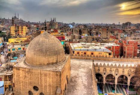 53th Meeting of the IOC Advisory Committee Held in Cairo | OLIVE NEWS | Scoop.it