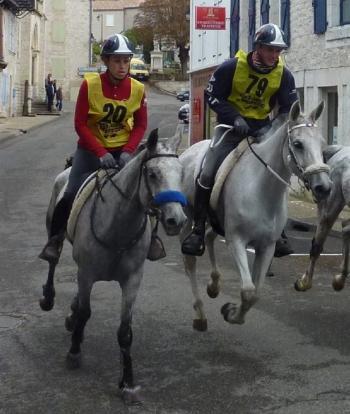 Montcuq. L'élite de l'endurance équestre en Quercy blanc - La Dépêche | Cheval et sport | Scoop.it