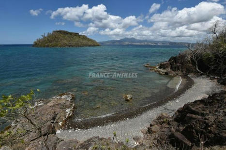 Des mesures de protection autour de l'îlet à Ramiers -  FranceAntilles.fr | Biodiversité | Scoop.it