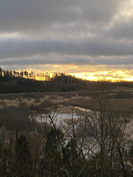 Joulun sointuja &ndash; Kirjailija Hannu M&auml;kel&auml; | 1Uutiset - Lukemisen t&auml;hden | Scoop.it
