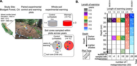 Soil proteogenomics uncover microbial strategies for soil depth-specific carbon cycling under whole-soil warming conditions | Ncm | RMH | Scoop.it