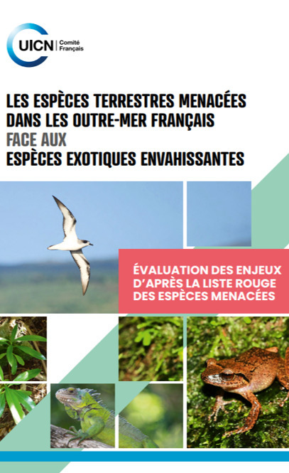 Lettre d'actualités Espèces exotiques envahissantes outre-mer  outre-mer - Juin 2025 | Biodiversité | Scoop.it