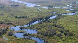More than HALF of U.S. rivers are too polluted to support life as shocking report reveals scale of water contamination | BIODIVERSITY IS LIFE  – | Scoop.it