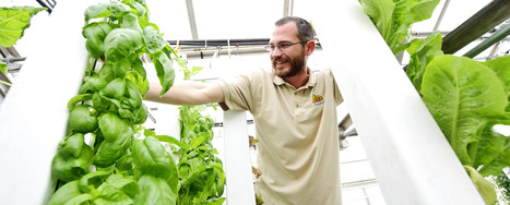 Will vertical farming continue to grow, or has it hit the greenhouse ceiling? | INNOVATIONS | Scoop.it