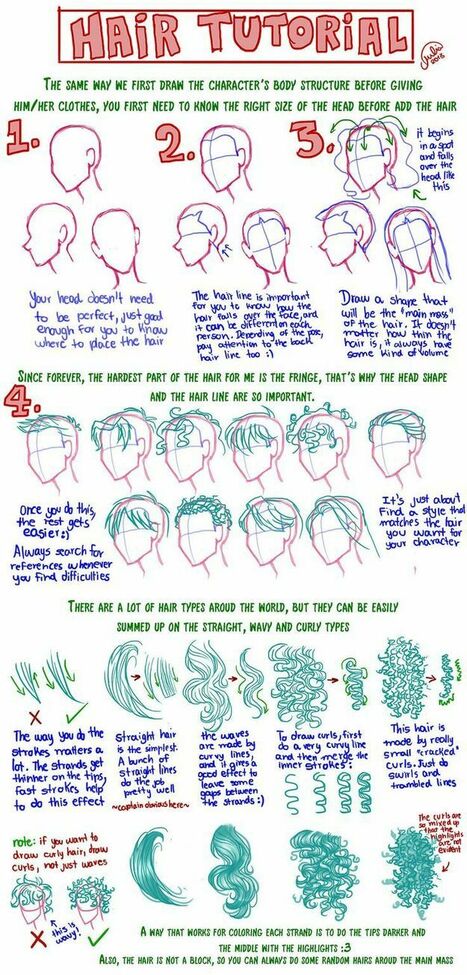 hair drawing reference' in Drawing References and Resources