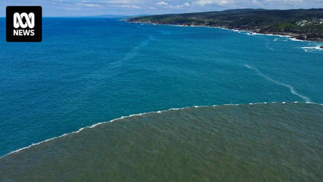 Halocline phenomenon off the NSW south coast a 'remarkable' display of floodwater science - ABC News | Soggy Science | Scoop.it