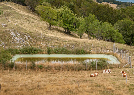 Volumes pr&eacute;levables en eau et irrigation : l&rsquo;&eacute;tude d&rsquo;impacts socio-&eacute;conomiques d&eacute;sormais prise en compte | Gestion de l'eau | Scoop.it