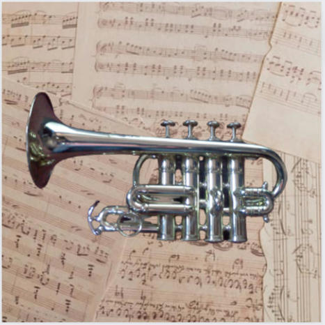Trompette piccolo | Cours de trompette | Cours de trompette pour tous | Scoop.it