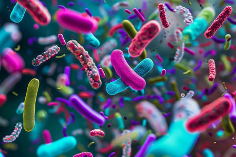 AI Links Gut Microbiome to Alzheimer's | Digitized Health | Scoop.it