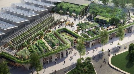 [Etude] Végétalisation des toitures, qualité de l'air et température  | ESPACES VEGETALISES URBAINS | Scoop.it