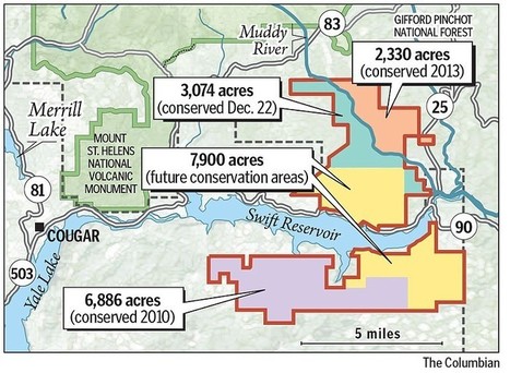 Pope sells conservation easement on 3,000 acres of forest near Mount St. Helens | Timberland Investment | Scoop.it