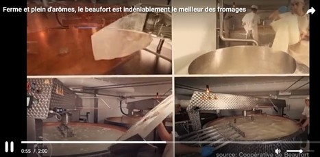 Beaufort : le Prince des gruyères souverain de tous les fromages de France ? | Actualités de l'élevage | Scoop.it