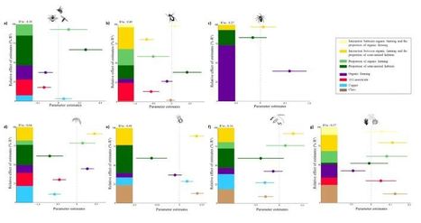 Pratiques agricoles et biodiversit&eacute; dans les paysages viticoles | EntomoNews | Scoop.it