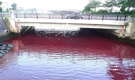 Japanese brewery spill turns river blood red in gruesome pollution | World | News / le 04.07.2023 | Pollution accidentelle des eaux par produits chimiques | Scoop.it