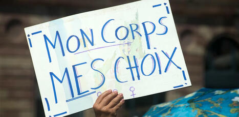 Statut de l’embryon et du fœtus en France : comment les anti-IVG et les pro-choix brouillent les pistes | Bioéthique & Procréation | Scoop.it