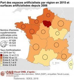 L’Etat laisse les grandes surfaces tuer les centres-villes | Nouveaux paradigmes | Scoop.it