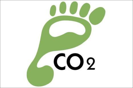 Footprint Calculator | Sustainability & Education | Scoop.it