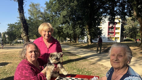 REPORTAGE. Le parc de K&eacute;rizac &agrave; Vannes, c&oelig;ur battant du quartier de M&eacute;nimur o&ugrave; il fait bon vivre | L'actualit&eacute; des quartiers politique de la ville de Bretagne et Pays de la Loire | Scoop.it