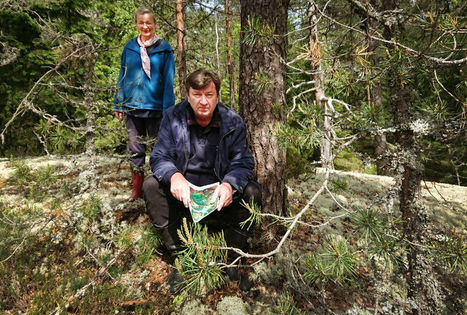Aki Kaurismäeltä tuntuva lahjoitus metsäalueen suojeluun Lapissa | Yle Uutiset | yle.fi | 1Uutiset - Lukemisen tähden | Scoop.it
