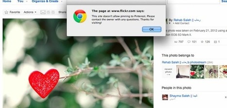 Flickr disables Pinterest pins on all copyrighted images (exclusive) | Font Lust & Graphic Desires | Scoop.it