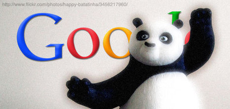 PR Newswire's Answer To Their Google Panda Troubles: Taking Action On Press Release Spammers | Public Relations & Social Marketing Insight | Scoop.it