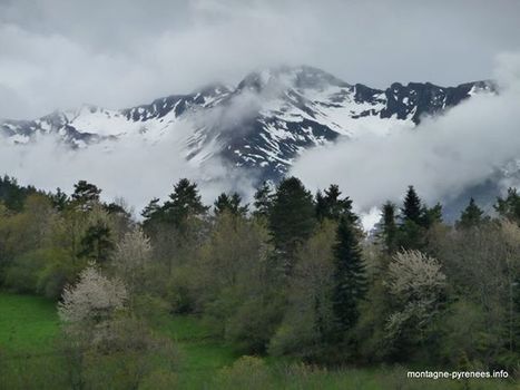 Le printemps, c'est le mélange des genres | Facebook | Vallées d'Aure & Louron - Pyrénées | Scoop.it