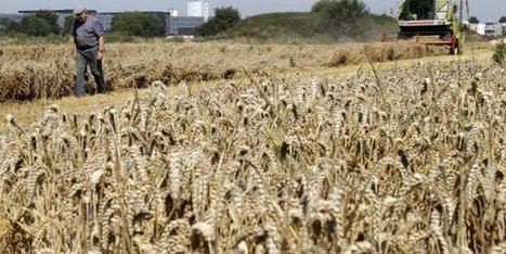 Agriculture: comment le gouvernement compte soutenir le secteur en crise - La Tribune | Lait de Normandie... et d'ailleurs | Scoop.it
