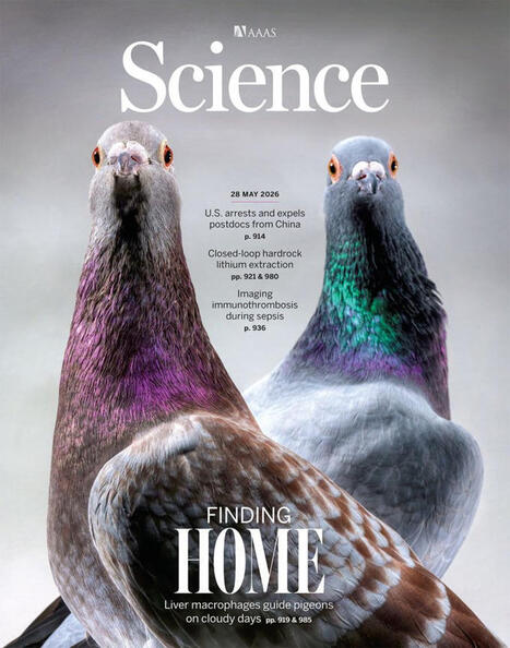 In science, is anything sweeter than serendipity? A chance seating arrangement over ten years ago put Martin Wikelski and Christian Kurts side by side at a meeting. As these things go, boredom&hellip; | ... | Immunology | Scoop.it