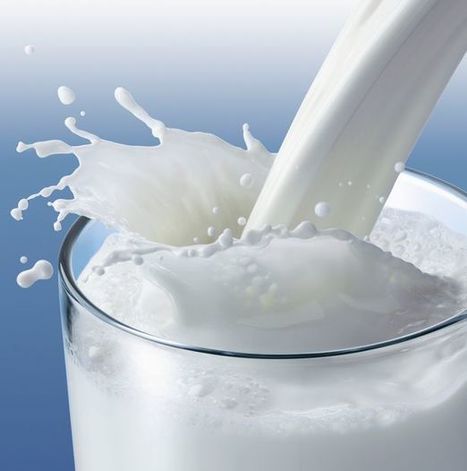 Tendance consommation : Les ventes de lait pourraient chuter, la faute à nos ados ! | Lait de Normandie... et d'ailleurs | Scoop.it