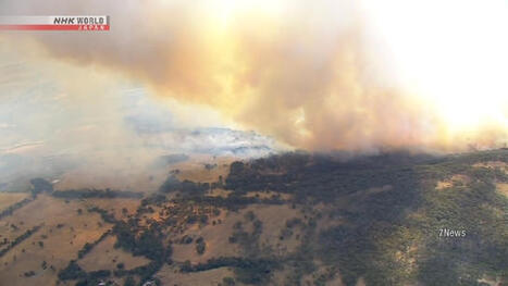 Wildfires break out in Australia amid record heatwave | NHK WORLD-JAPAN News | Operation Deimos | Scoop.it