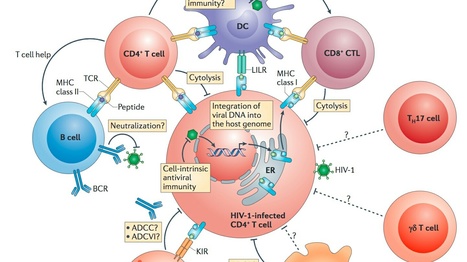 Les inhibiteurs de PD-1 dans la lute contre le cancer et les maladies infectieuses – Vih.org | sida | Scoop.it