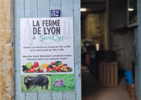 La dernière ferme de Lyon soutenue par les collectivités (69) | Energy Transition in Europe | www.energy-cities.eu | Scoop.it