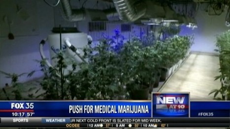 Orlando lawmaker pushes for medical marijuana legislation | Beckley News : Cannabis - Marijuana | Scoop.it