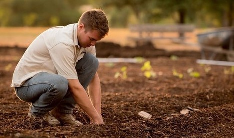 Gardens nourish body and soul during pandemic, say therapists | Sustainability Science | Scoop.it