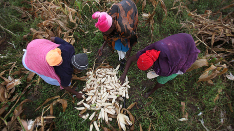 A call to rethink the dearth of women landowners in Africa | Climate Change & DRR in East Africa | Scoop.it