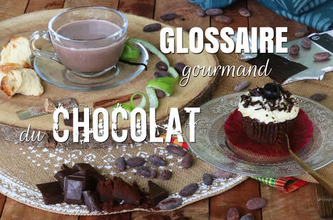 Un glossaire du chocolat &agrave; parcourir... en croquant une bonne tablette | DictiHOnnaires! | Scoop.it