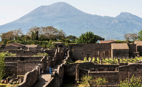 ITALY : Olive Oil Production Returns to Pompeii 2,000 Years After Volcanic Eruption | CIHEAM Press Review | Scoop.it