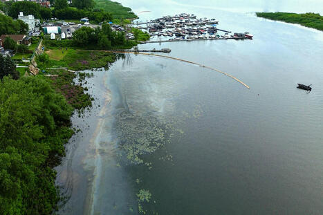 « Marée noire » à Pointe-aux-Trembles | Québec suspend ses recherches d’une cause terrestre / le 15.07.2024 | Pollution accidentelle des eaux (+ déchets plastiques) | Scoop.it