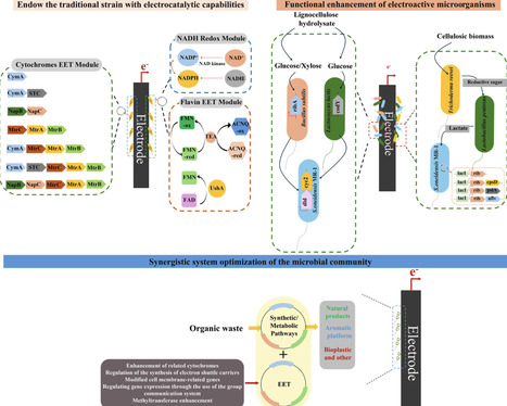 Enhancement Strategies for Bioelectrocatalytic Conversion of Organic Waste | acs | RMH | Scoop.it