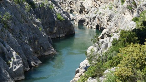 Cinq communes intégrées dans le Label Grand site de France dans les Gorges de l'Hérault | Biodiversité | Scoop.it