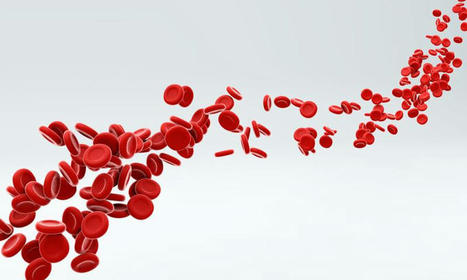 News: CRISPR Trial Update: Editas Reports Positive Initial Data From Sickle Cell Disease and Beta-Thalassemia Trials | Genetic Engineering in the Press by GEG | Scoop.it