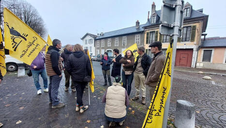 Dermatose nodulaire dans les Hautes-Pyr&eacute;n&eacute;es&nbsp;: vingt bovins vont &ecirc;tre abattus, une campagne de vaccination va d&eacute;marrer - ICI | Accueil | Scoop.it