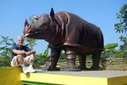The Javan Rhino’s final stronghold | Endangered species | Scoop.it