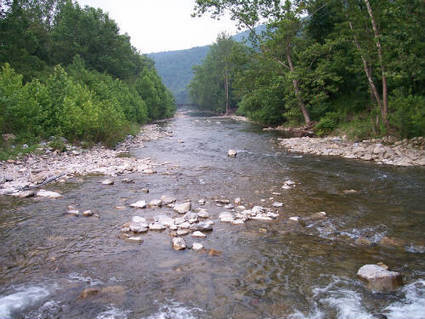 Potomac spill was synthetic latex; poses no allergy threat / www.dispatchtimes.com du 01.10.2015 | Pollution accidentelle des eaux par produits chimiques | Scoop.it