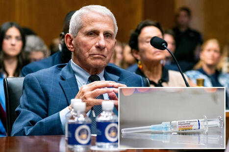 Imagine taking medical advice from someone with no medical background. This is actually what one would be doing by listening to Federico Donatone . When Fauci expressed such, the data on miscarriag... | H&eacute;sitations Vaccinales: Observatoire HESIVAXs | Scoop.it